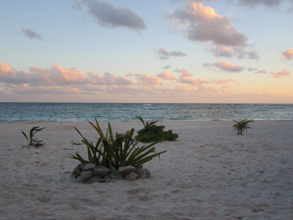 Appart Depa Center Hotel Playa del Carmen Room photo